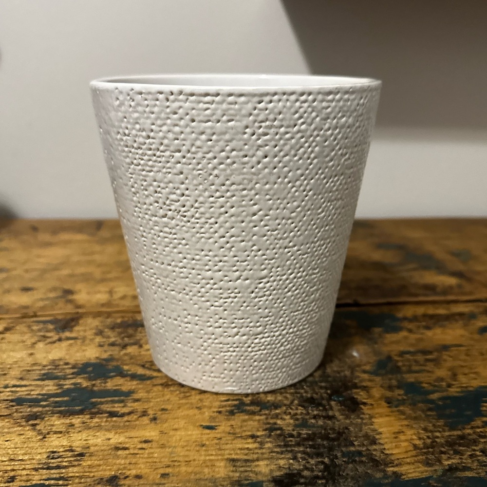 Textured White Ceramic Plant Pot